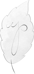 Kalamistra by Yvonne Pankrath Logo - Blatt mit den Buchstaben YP